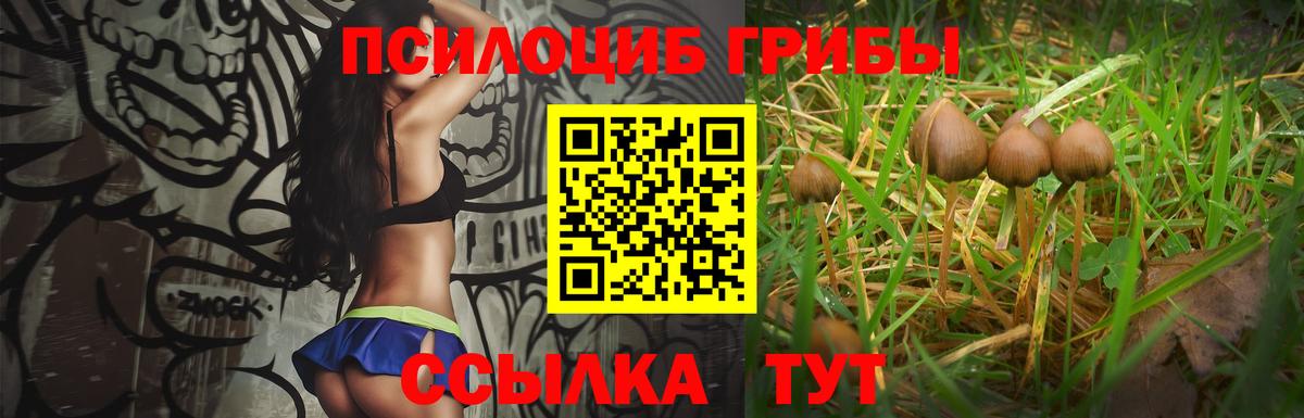 Псилоцибиновые грибы Magic Shrooms Саяногорск